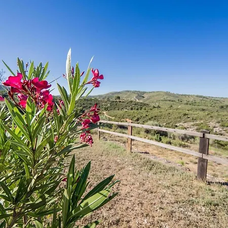 Holiday home Cozy In Les Coves de Vinroma